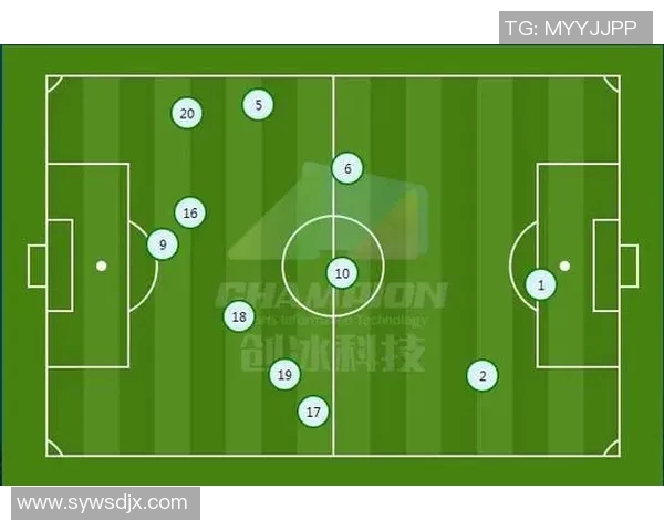 深圳排球队与武汉排球队赛后复盘分析团队配合与战术执行的关键因素